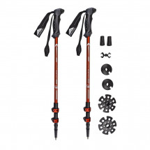 Палки треккинговые Манарага Alpine